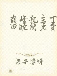 巅峰龙主丁长顺田晓兰免费阅读