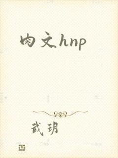 肉文hnp