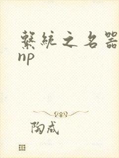 系统之名器攻略np