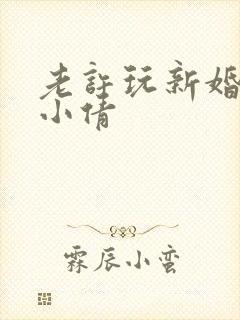 老许玩新婚少妇小倩