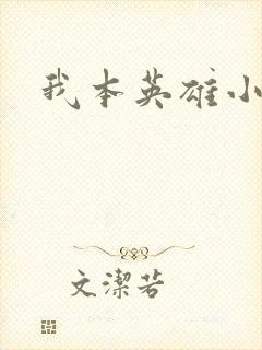 我本英雄小说
