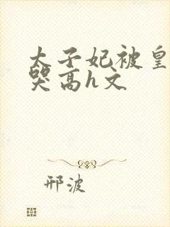 太子妃被皇上c哭高h文