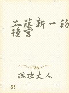 工藤新一的日本后宫