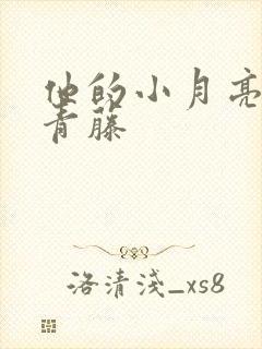 他的小月亮by青藤