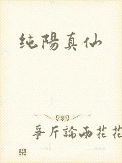 纯阳真仙