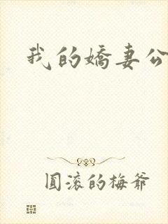 我的娇妻公务员