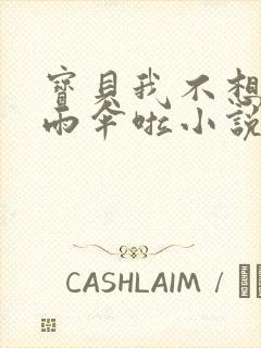 宝贝我不想带小雨伞啦小说