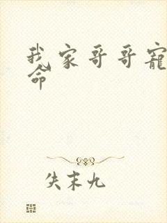 我家哥哥宠妹如命