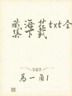 藏海花txt全集下载