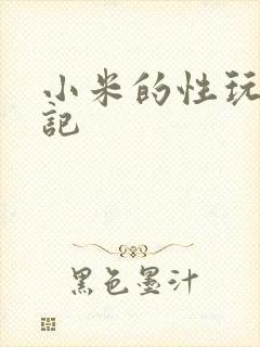 小米的性玩具日记