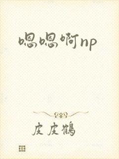 嗯嗯啊np