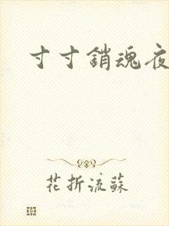 寸寸销魂夜春光