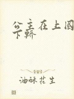 公主在上国师请下轿