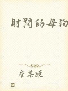 财阀的母狗们
