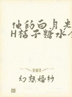 他的白月光HVH桔子糖水全文