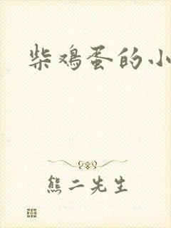 柴鸡蛋的小说
