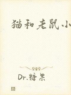 猫和老鼠小说