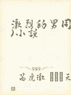 激烈的男同(h)小说