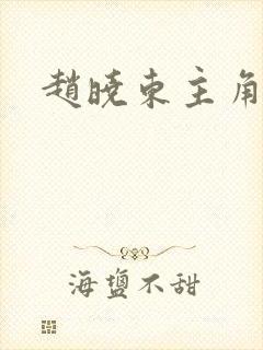 赵晓东主角小说