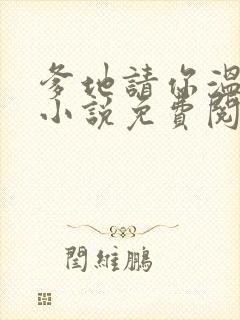 爹地请你温柔点小说免费阅读