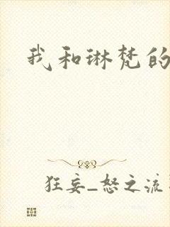 我和琳梵的故事