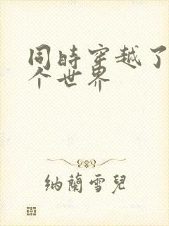 同时穿越了99个世界