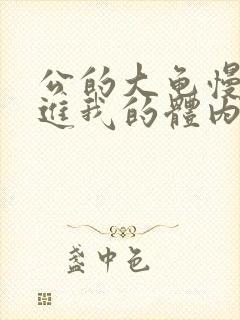 公的大龟慢慢挺进我的体内