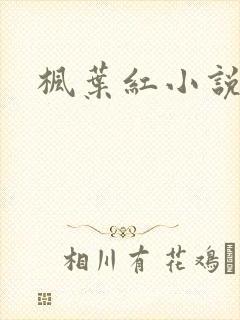 枫叶红小说