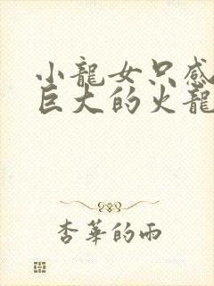 小龙女只感觉那巨大的火龙枪