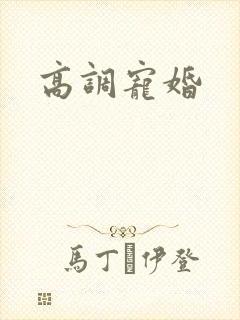 高调宠婚