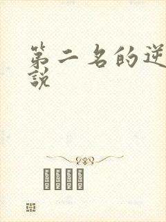 第二名的逆袭小说