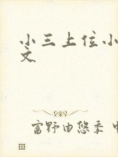 小三上位小说全文