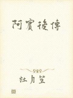 阿宾后传