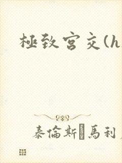 极致宫交(h)