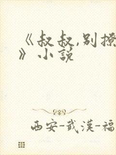 《叔叔,别撩我》小说