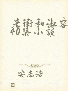 老卫和淑容1-40集小说