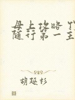 母上攻略 竹影随行第一主板