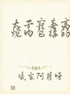 太子宠妾高肉红烧肉包讲的什么