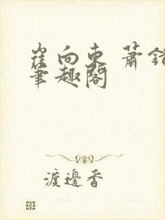 崔向东 萧错 笔趣阁