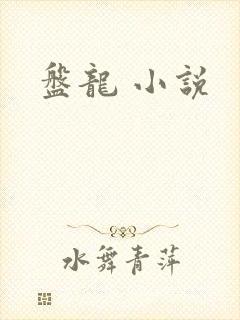 盘龙 小说