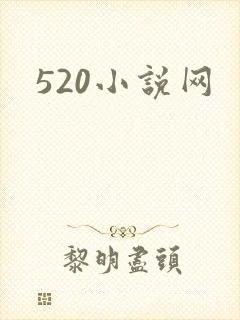 520小说网