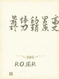 最棒的男高中生于刀鞘原文阅读