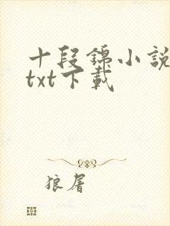 十段锦小说全本txt下载