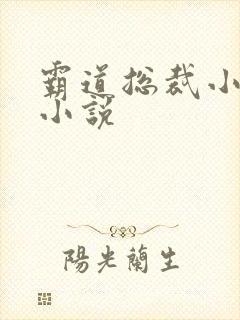 霸道总裁小娇妻小说