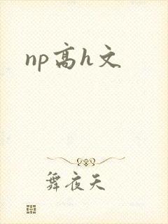 np高h文