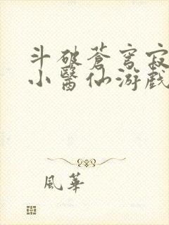 斗破苍穹寂寞的小医仙游戏世界