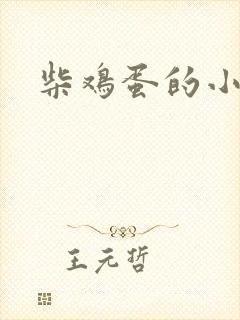 柴鸡蛋的小说