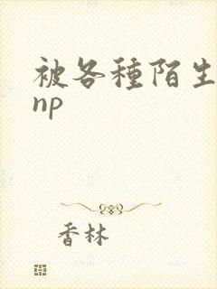 被各种陌生人 np