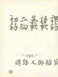 初二英语课代表的胸软软的