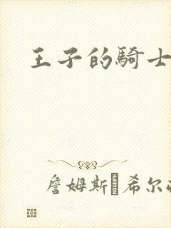 王子的骑士